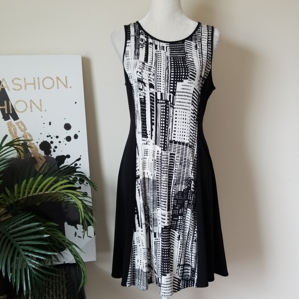Banana Republic Black and White Sleeveless A-Line Dress